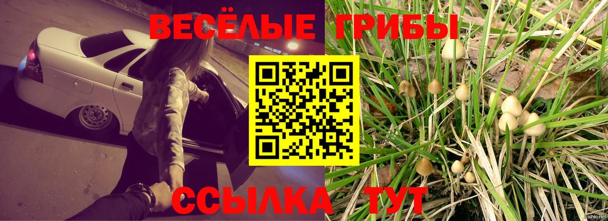 Галлюциногенные грибы мицелий  Вход с VPN  Еманжелинск 